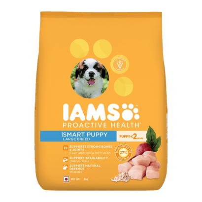 IAMS Puppy Large Breed Dogs Dry Dog Food